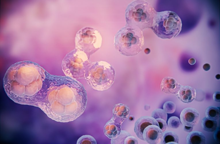 Milioane de celule ale mamei tale persistă în corpul tău – oamenii de știință descoperă cum funcționează