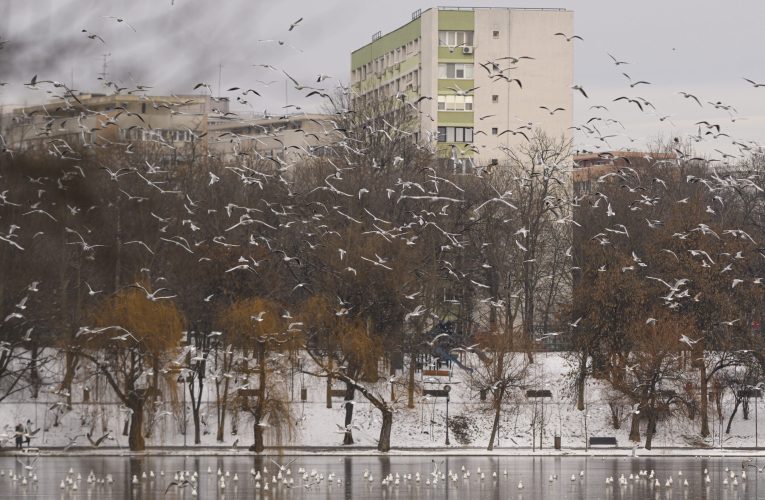 Minus 12 grade în București. Capitala intră sub cod galben de frig