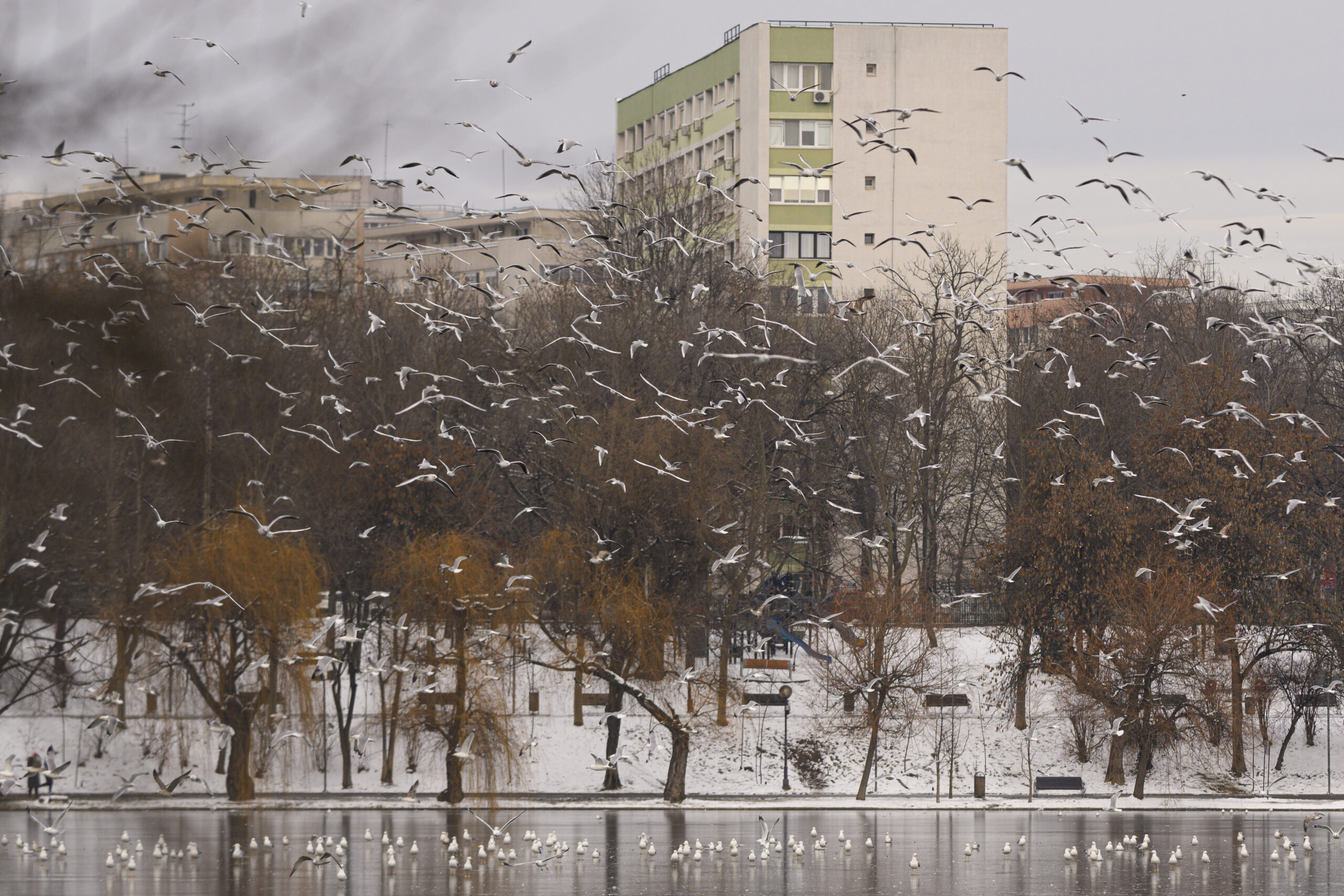 Minus 12 grade în București. Capitala intră sub cod galben de frig