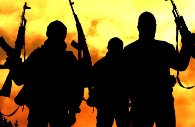 Nigeria: Cel puțin opt militari au fost uciși într-un atac jihadist