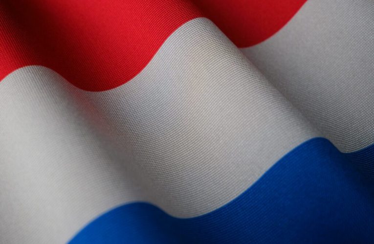 Noul guvern olandez vrea interzicerea rețelelor sociale pentru copiii sub 15 ani