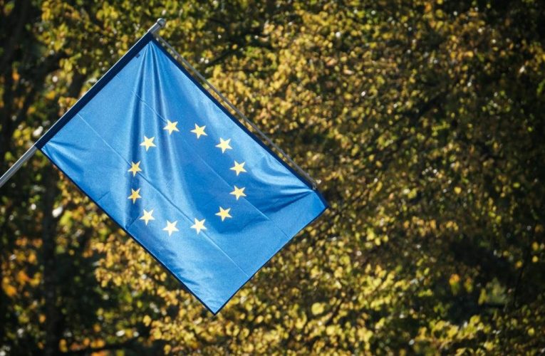 Paradox în Estonia: scade sprijinul pentru UE, crește încrederea în stat