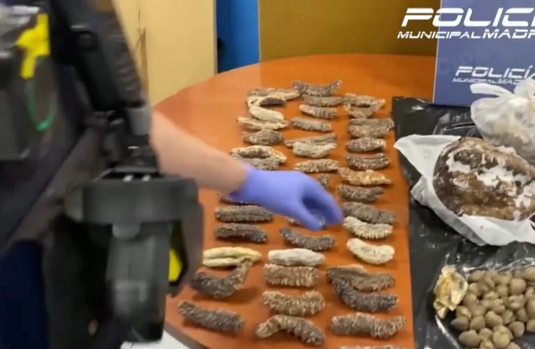 Porumbei ce zburau pe străzi, serviți într-un restaurant chinezesc pe post de rață