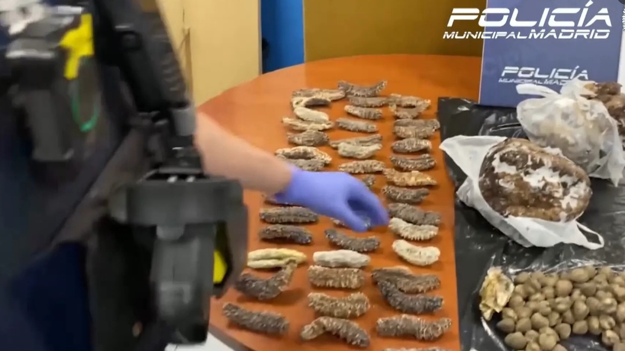 Porumbei ce zburau pe străzi, serviți într-un restaurant chinezesc pe post de rață