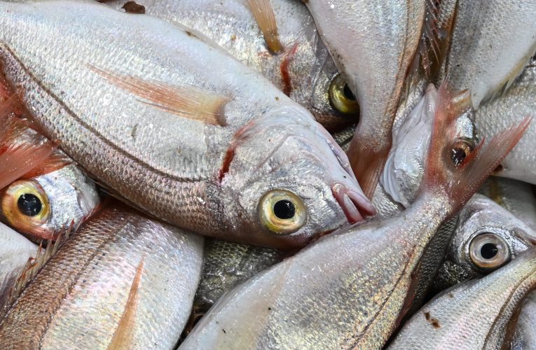 Preț record de 3,2 milioane de dolari pentru ton roșu la licitația de pește de la Tokyo