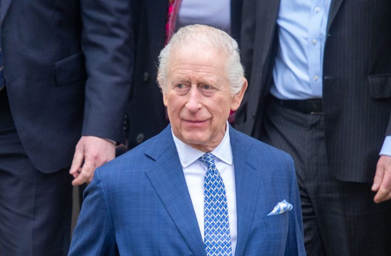 Regele Charles laudă Ucraina: „un exemplu pentru întreaga lume”