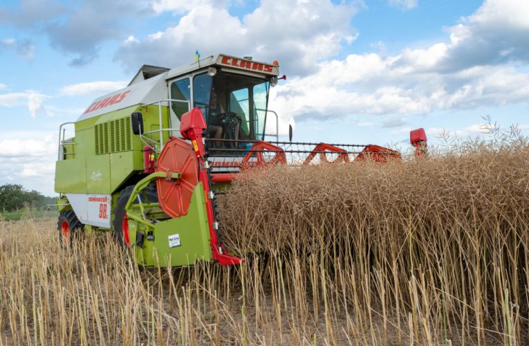 România, statul UE cu cei mai mulți lucrători în agricultură