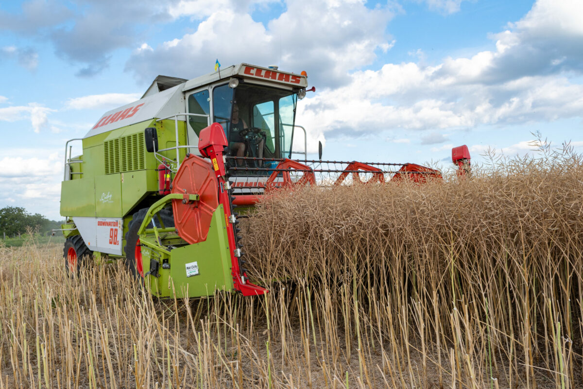 România, statul UE cu cei mai mulți lucrători în agricultură