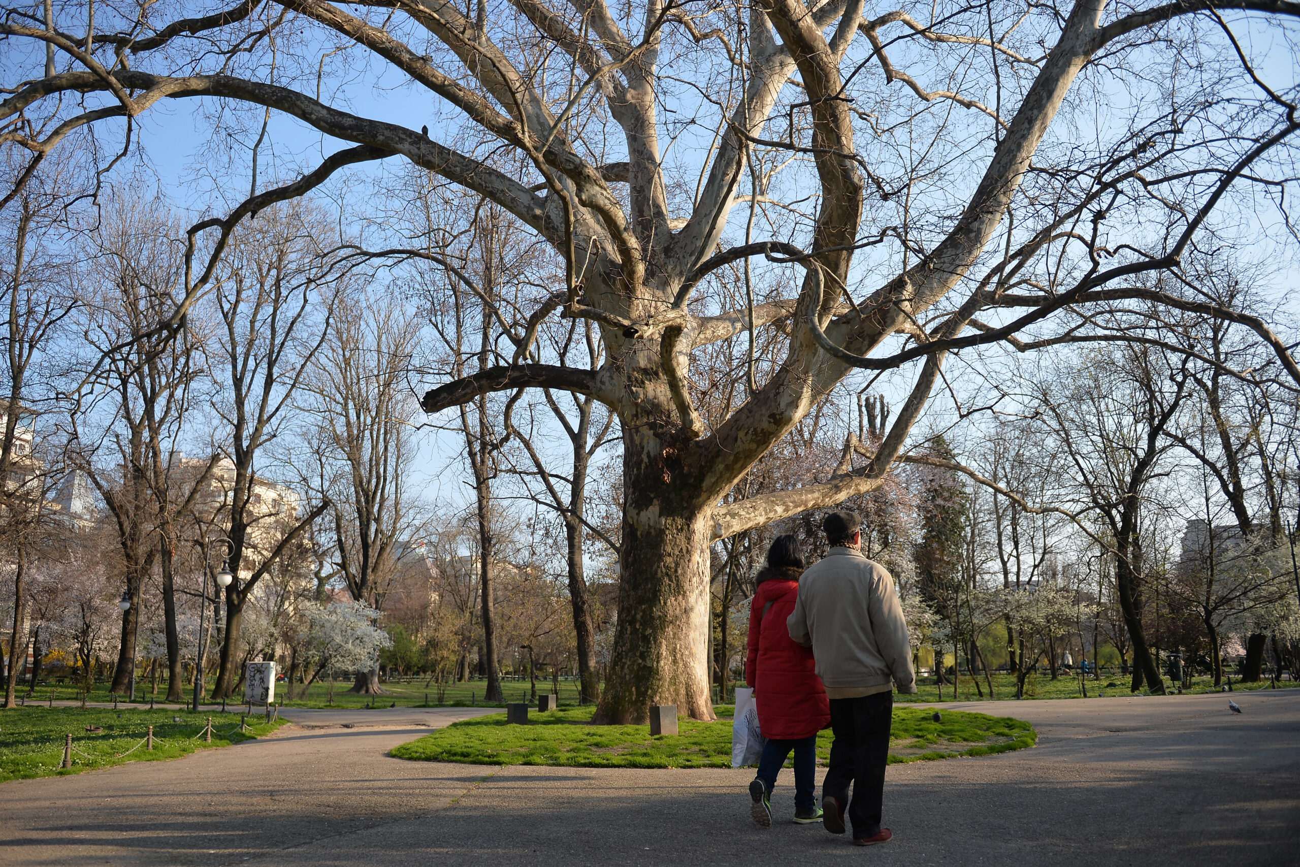Schimbare majoră în prognoza meteo. Ce temperaturi ne așteaptă în următoarele săptămâni