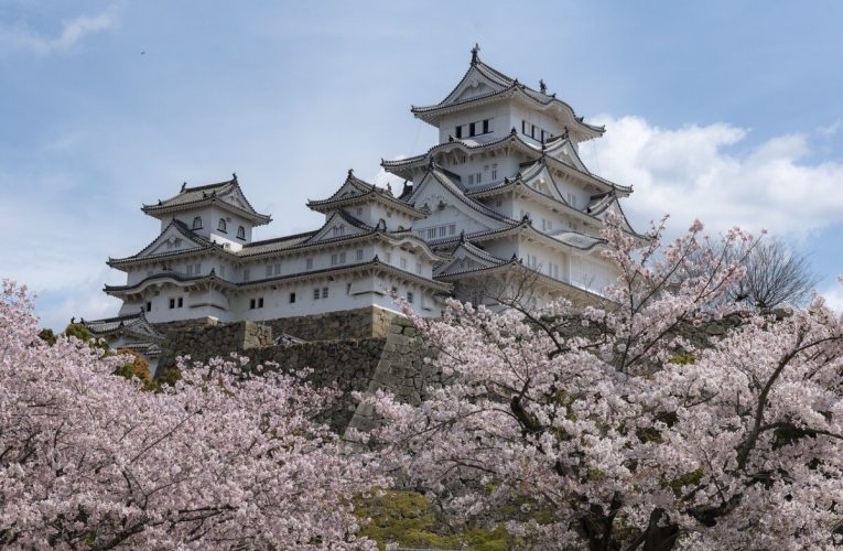Schimbarea climei dă peste cap un eveniment turistic mondial. Cireșii japonezi vor înflori mai repede în 2026