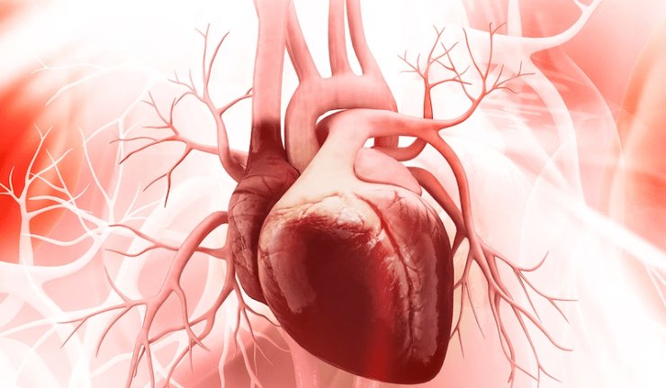 Semnele nevăzute ale infarctului și AVC-ului, detectate cu o tehnologie neinvazivă