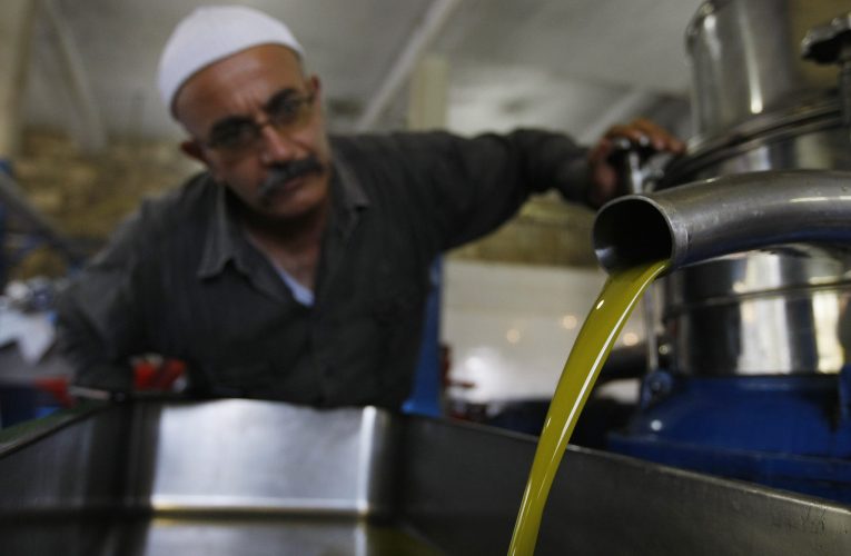 Surpiză. Se schimbă harta uleiului de măsline: O țară nord-africană e pe cale să depășească Italia