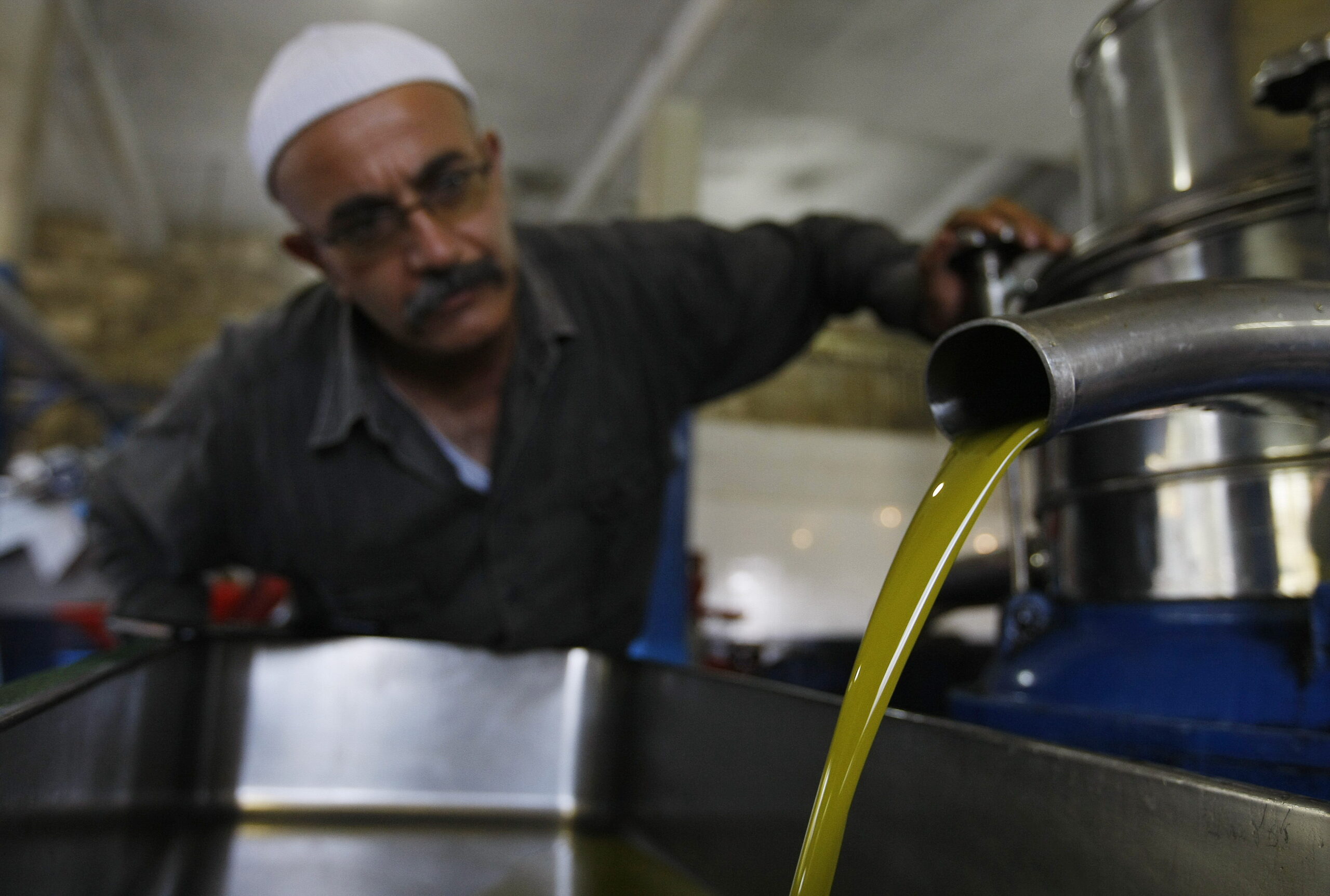 Surpiză. Se schimbă harta uleiului de măsline: O țară nord-africană e pe cale să depășească Italia