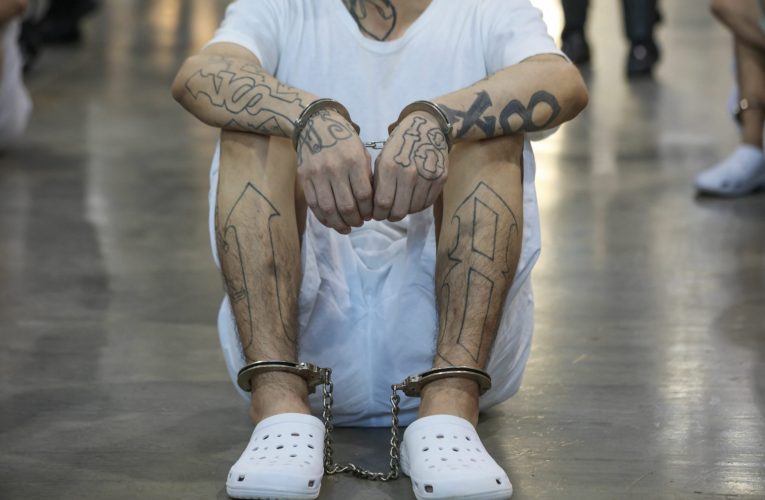 Țara europeană care a reușit să reducă violența și crimele: strategia națională din care s-ar putea inspira și România