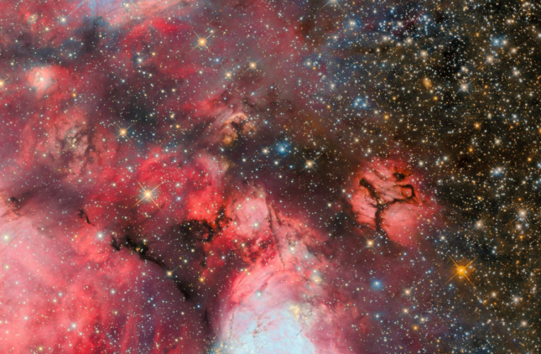 Telescopul Hubble surprinde stele tinere care modelează bule cosmice neobișnuite într-o galaxie apropiată