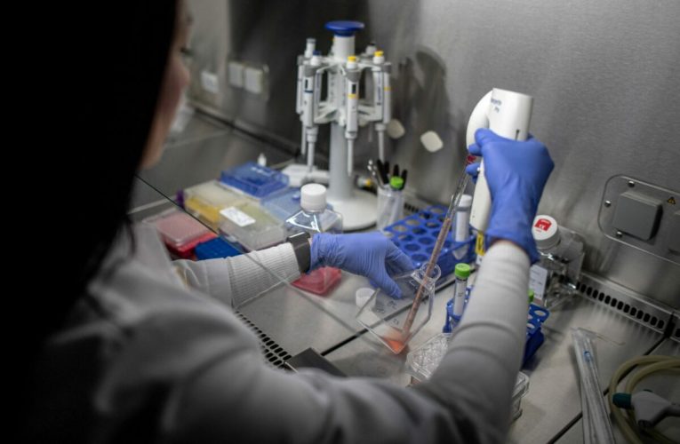 Tratamentul cancerului infantil, inspirat de o jucărie populară. „Se potrivesc ca o cheie într-o încuietoare”