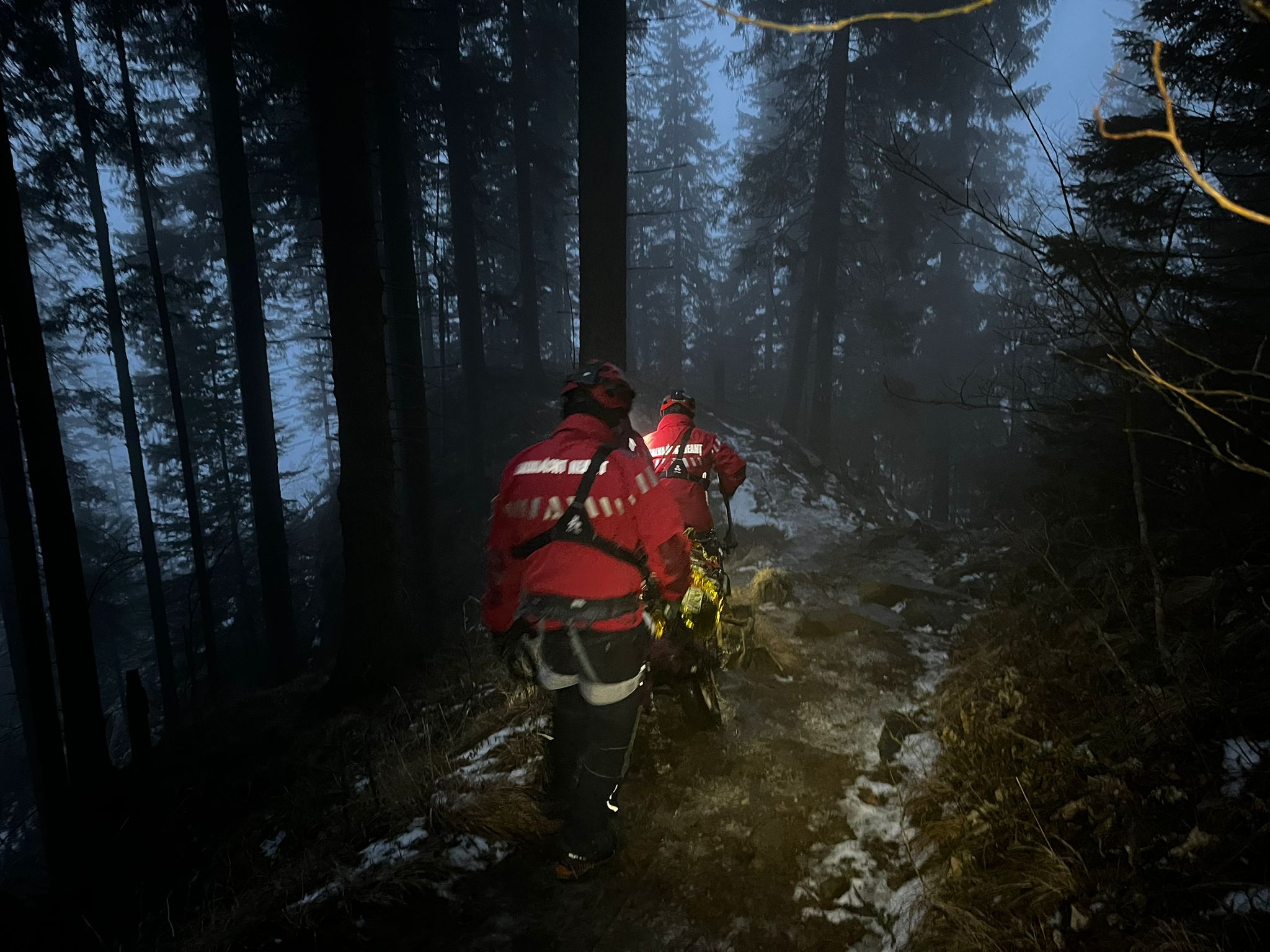 Trei copii s-au rătăcit în pădure, în apropierea unei pârtii de schi din Vâlcea. Salvamontiștii îi caută