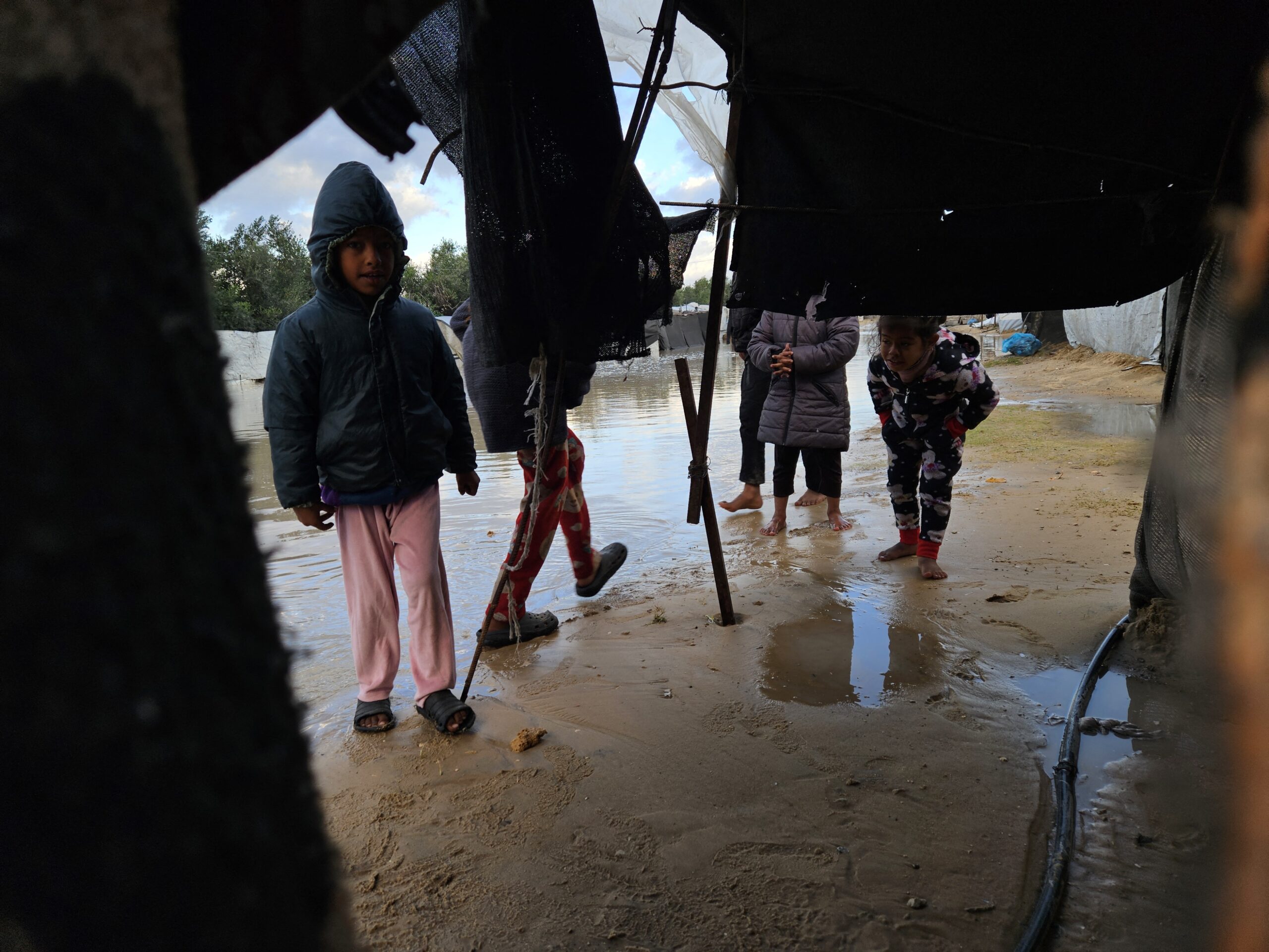 Un bebeluș a murit din cauza frigului în Gaza