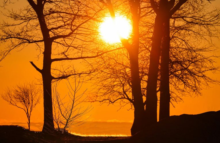 Vremea până în martie: ANM anunță patru săptămâni cu temperaturi neobișnuite