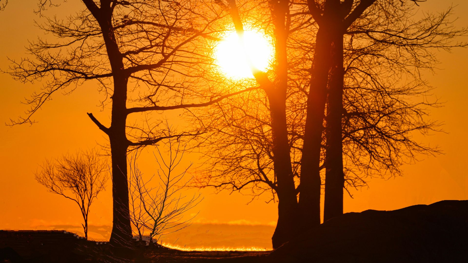 Vremea până în martie: ANM anunță patru săptămâni cu temperaturi neobișnuite