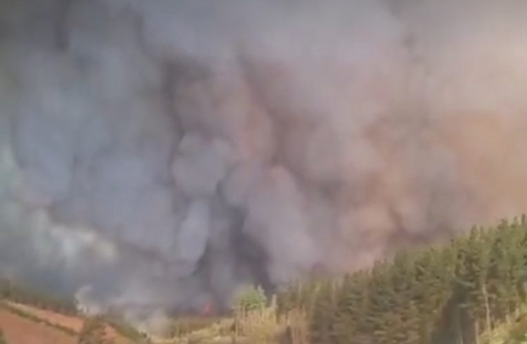 Zeci de mii de oameni fug din calea incendiilor în Chile