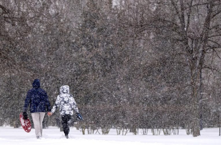 ANM: Cod portocaliu de viscol și ninsori la munte. Ploi și vânt în restul țării