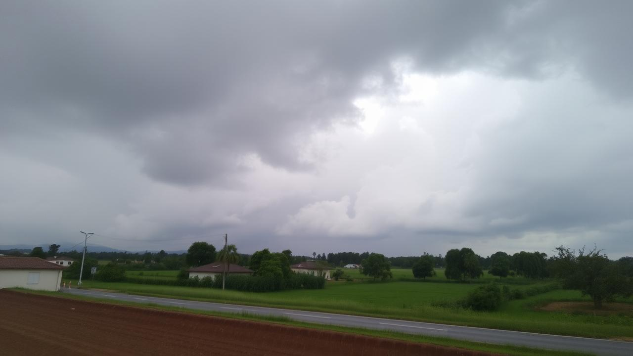 Anunțul meteorologilor: Cât de cald va fi în prima parte a lunii martie