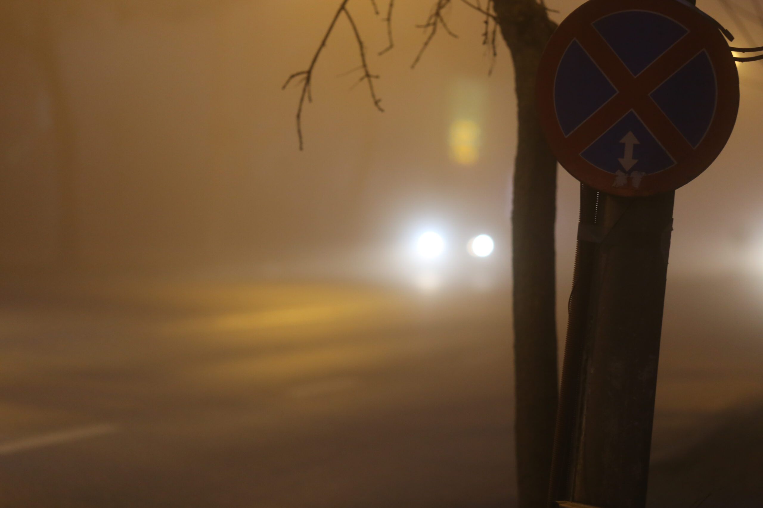 Atenționare cod galben de ceață, polei și burniță în județele Neamț, Iași și Botoșani