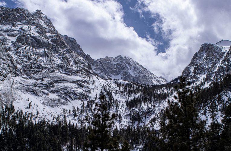 Autoritățile din SUA investighează moartea a opt schiori surprinși de o avalanșă în Sierra Nevada