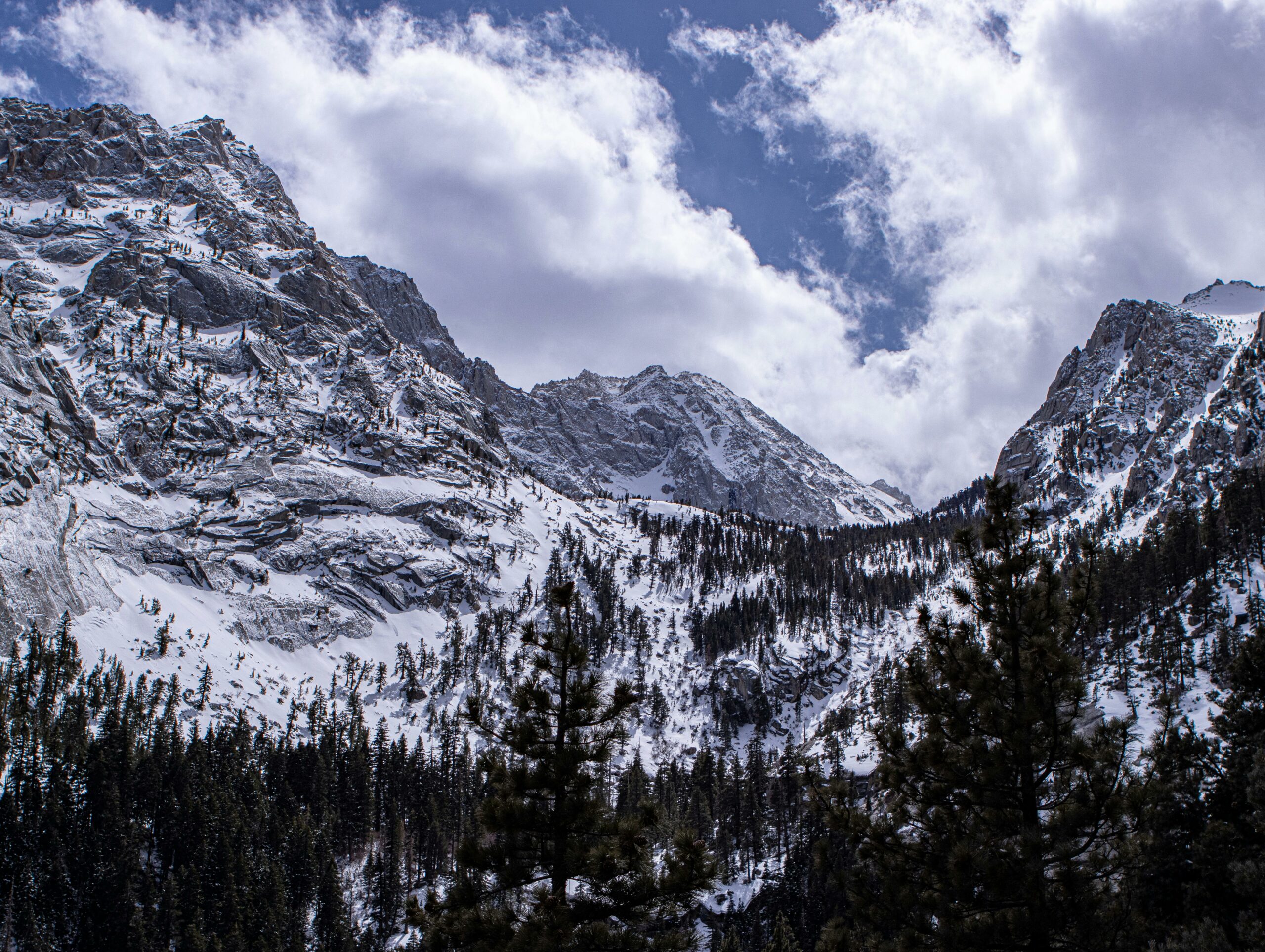 Autoritățile din SUA investighează moartea a opt schiori surprinși de o avalanșă în Sierra Nevada