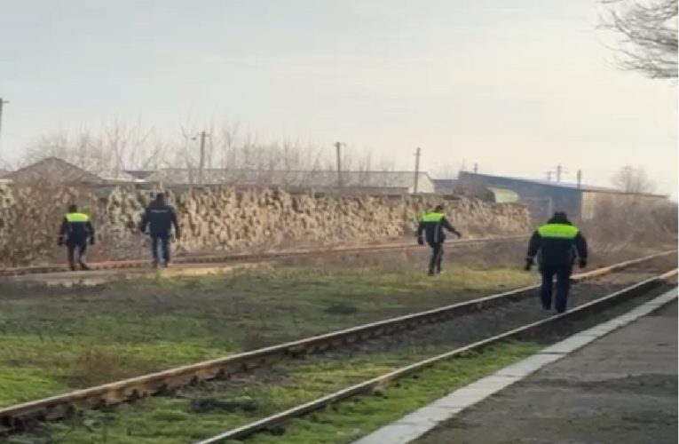 Cadavru dezmembrat de animale, găsit în Slobozia. Polițiștii fac verificări