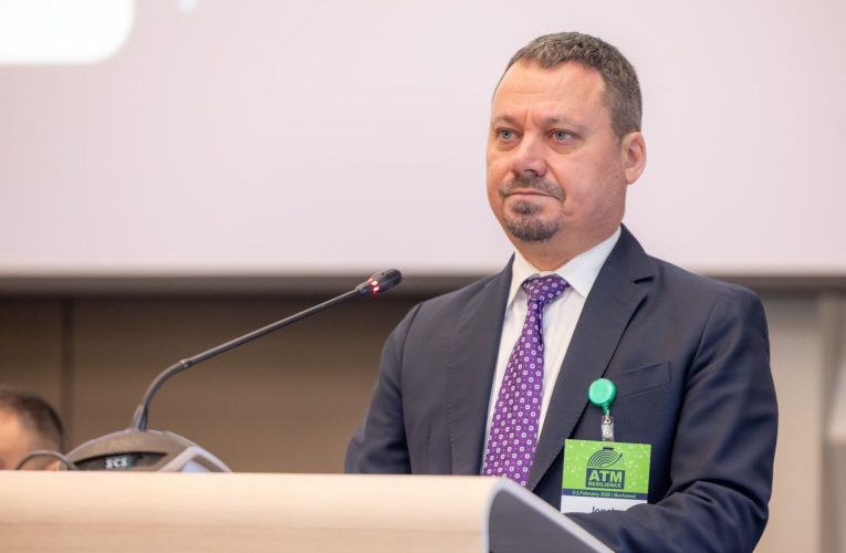 Care e stadiul segmentelor de autostradă cuprinse în SAFE, care se întind și în R. Moldova și Ucraina Declarațiile secretarului de stat Irinel Ionel Scrioșteanu