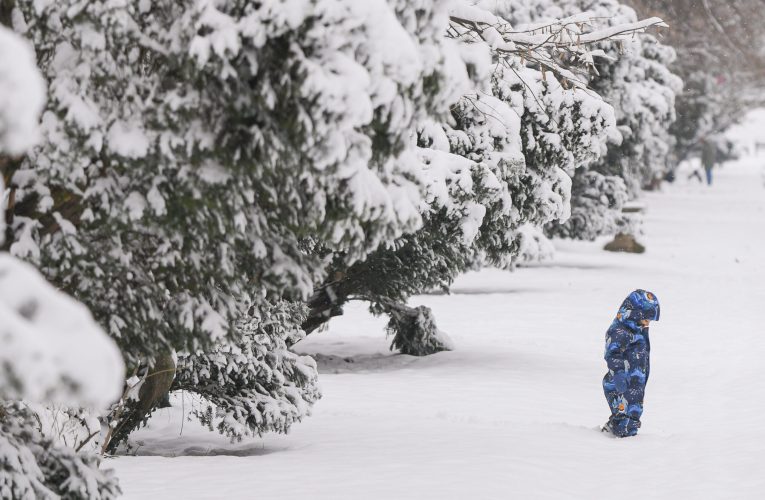 Centrul de Coordonare și Conducere a Intervenției București-Ilfov a fost activat