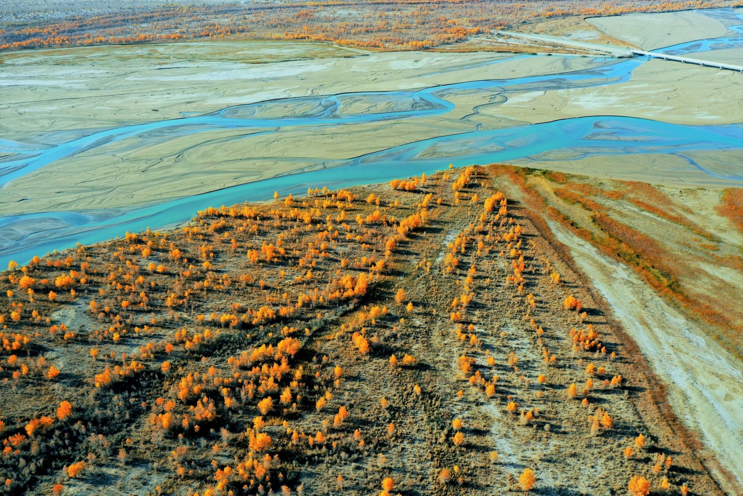 China schimbă peisajul climatic: Deșertul Taklamakan, transformat în rezervor natural de carbon după decenii de împăduriri