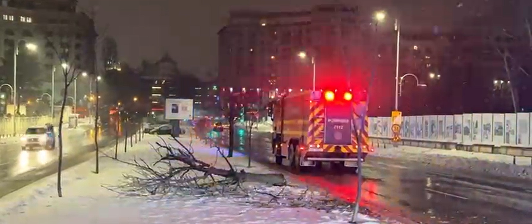 Cod galben de ninsori și viscol. Copaci căzuți în București. Drumuri închise în Ialomița