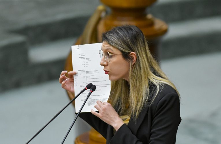 Diana Buzoianu, despre scumpirea apei. Coaliția, pusă să decidă