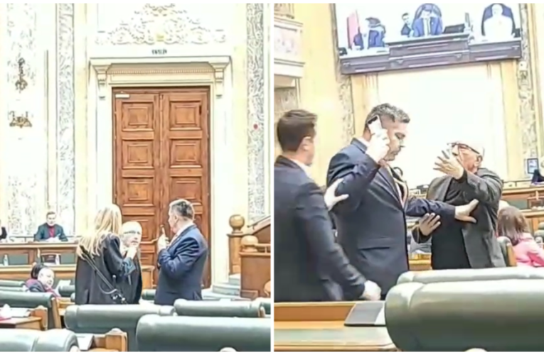 Doi senatori români s-au îmbrâncit și au fost la un pas să se ia la bătaie. Scandalul, provocat de o senatoare