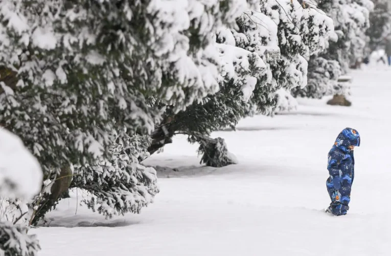 Efectele Codului portocaliu: Trafic restricționat, avarii la rețeaua electrică și zboruri afectate