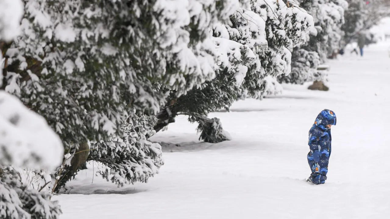 Efectele Codului portocaliu: Trafic restricționat, avarii la rețeaua electrică și zboruri afectate