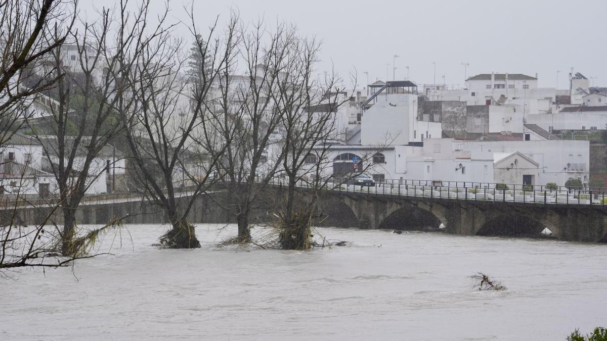 Fermierii anunță „pagube catastrofale” după ce furtuna Marta a lovit Spania și Portugalia