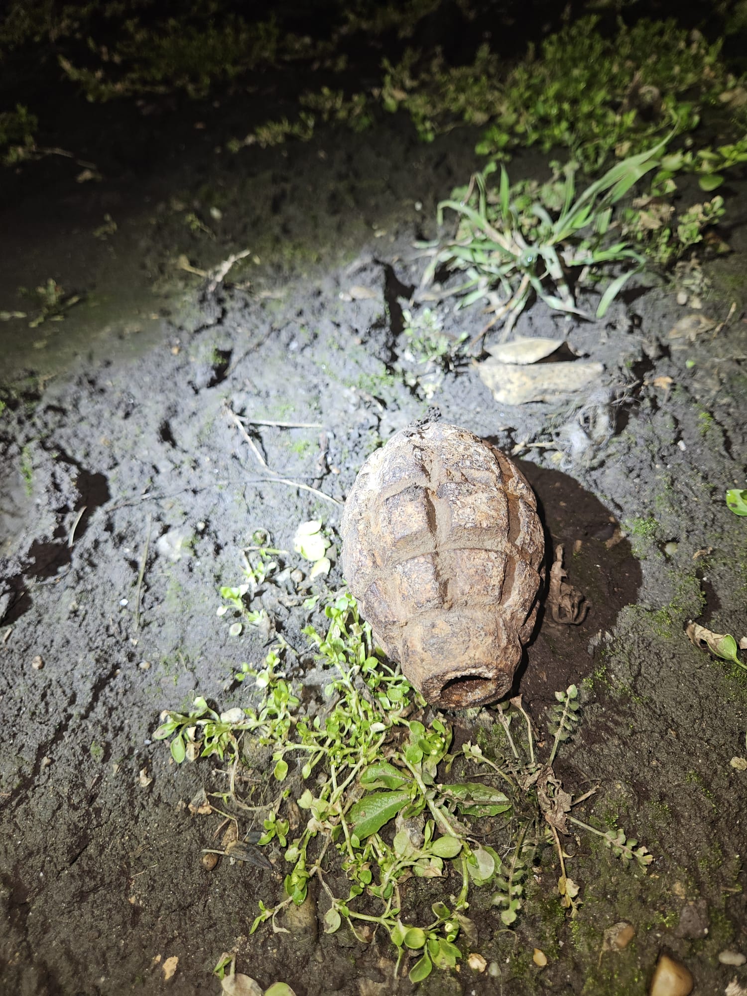 Grenadă descoperită în apropierea gării din orașul Galați