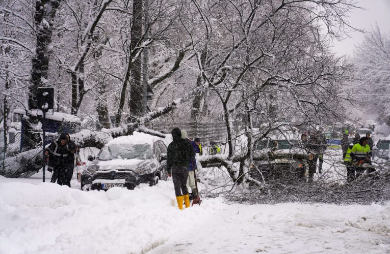Haos în București după ninsoare: 183 de copaci rupți, zeci de mașini avariate și un microbuz blocat în zăpadă. VIDEO