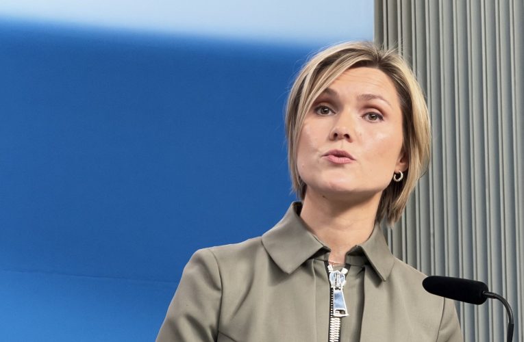 Islanda va organiza un referendum privind reluarea discuțiilor de aderare la UE „în lunile următoare”