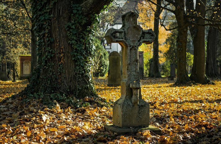 Morminte profanate într-un cimitir din județul Constanța