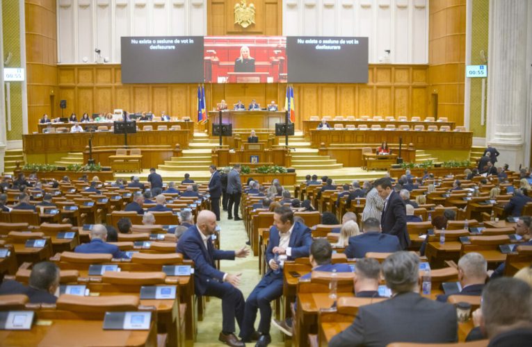 Moțiune simplă împotriva ministrului de Externe, Oana Țoiu: „Diplomația progresistă cu hashtaguri a pus agricultura României în pericol”