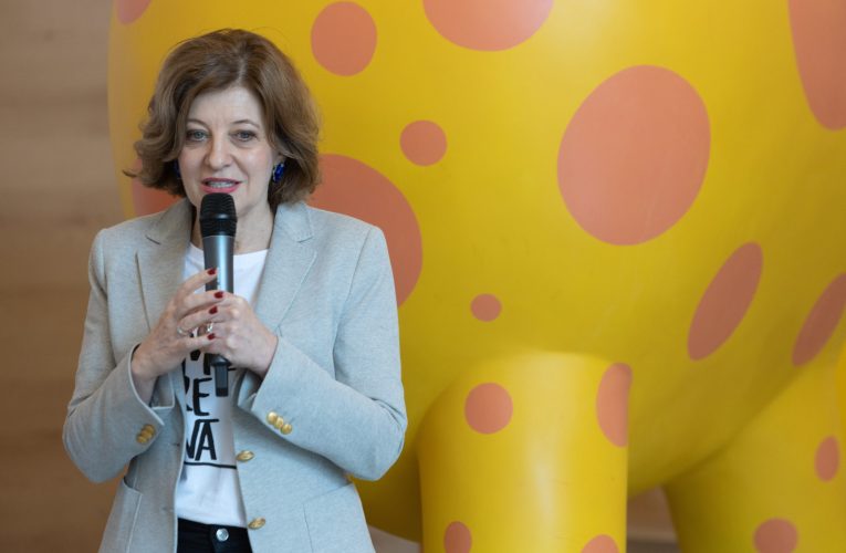 Oana Gheorgiu anunță restructurări masive în companiile de stat: ultimele șanse pentru TAROM, CFR, Metrorex și altele