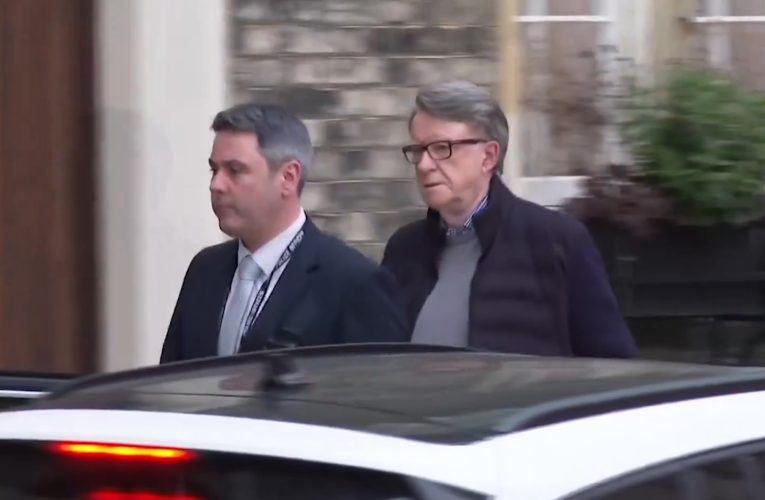 Peter Mandelson, eliberat pe cauțiune după arestarea în ancheta privind legăturile cu Jeffrey Epstein