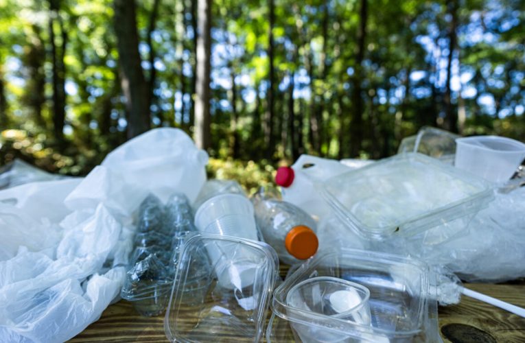 Plastic peste tot, boli peste tot: avertismentul cercetătorilor pentru următorii 15 ani