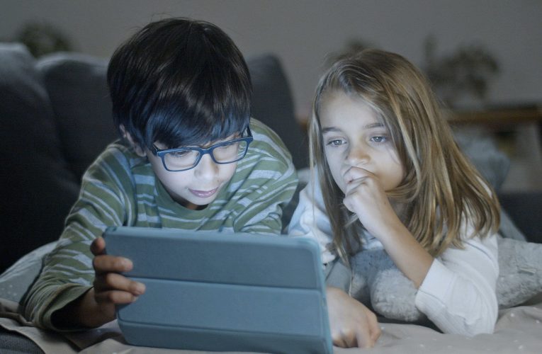 Polonia intenționează să blocheze accesul la rețelele sociale pentru copiii sub 15 ani