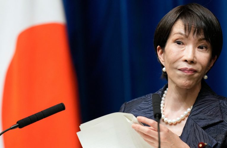 Premierul Japoniei speră la o victorie decisivă la alegerile parlamentare anticipate